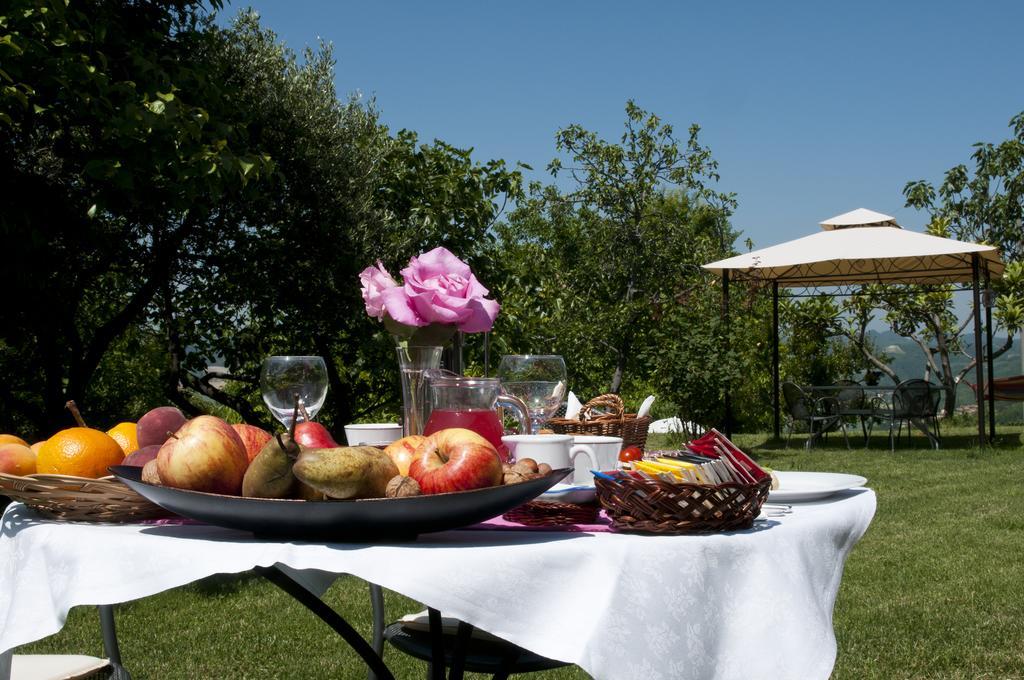 Cascina Rosa B&B Grazzano Badoglio Ngoại thất bức ảnh